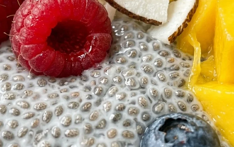 Chia Seed Pudding Recipe